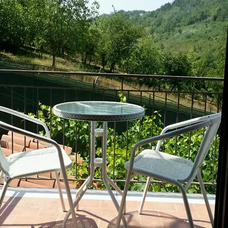 Casale Davinci *